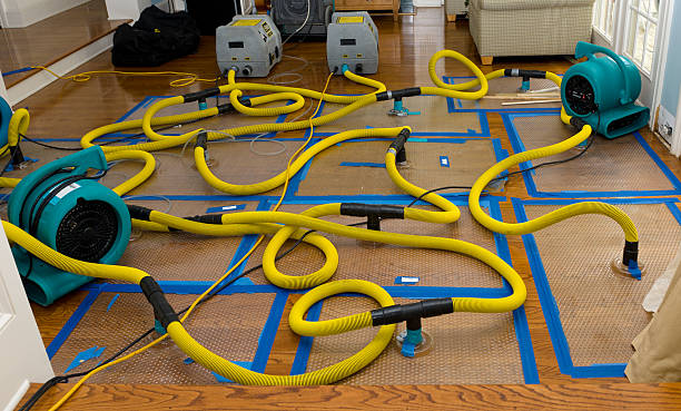 Professional Basement Flood Cleanup technician working in Centerville, IN